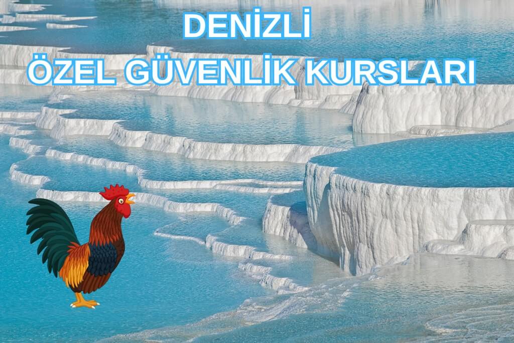 Denizli Özel Güvenlik Kursları